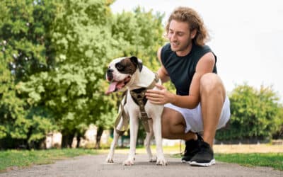 The 8 Best Ways to Get in Shape with Your Dog